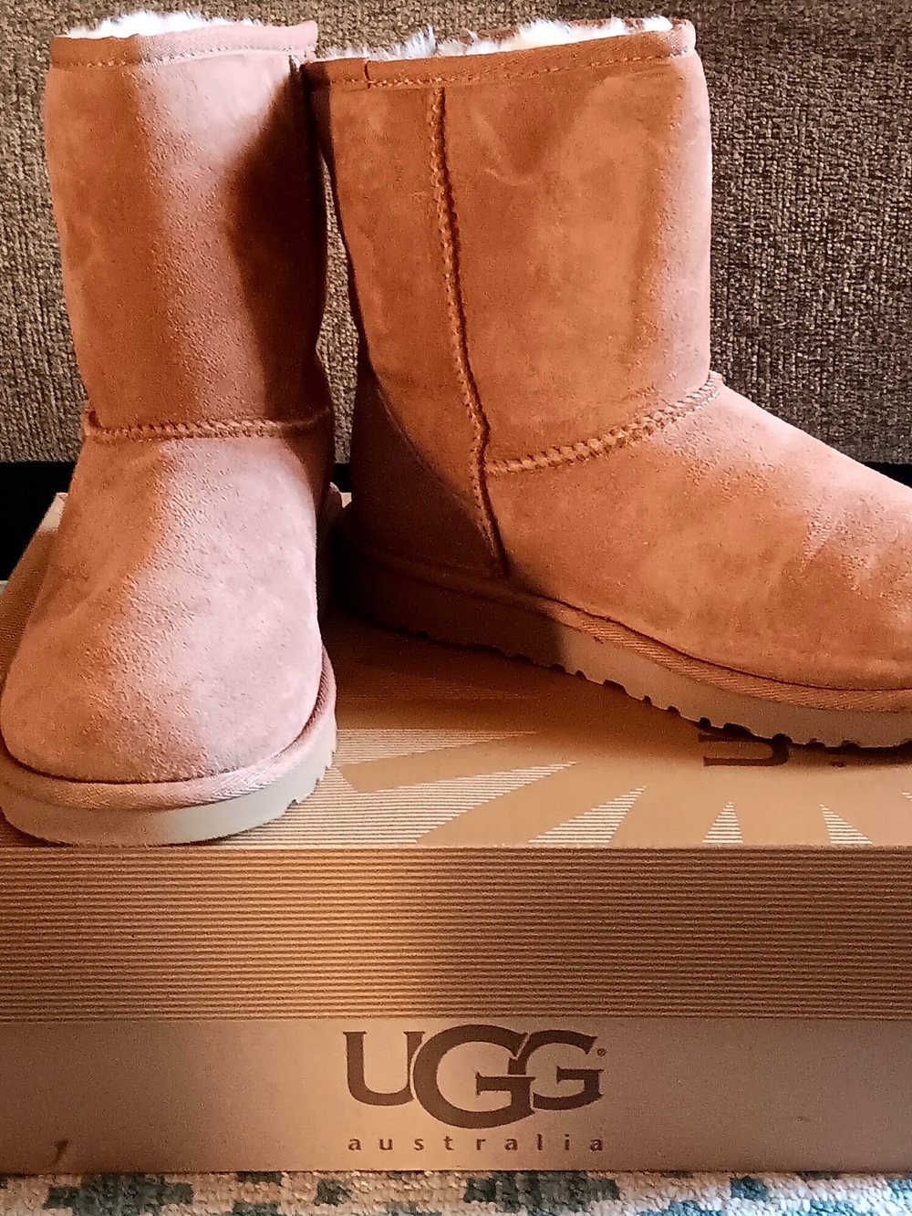 UGG Women's Classic Short Boot in Chestnut Suede